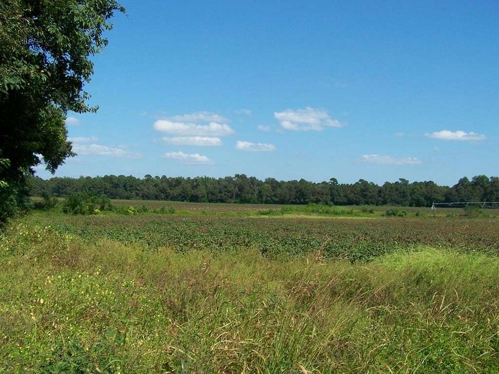 89.5 Acres of Agricultural Land for Sale in Santee, South Carolina