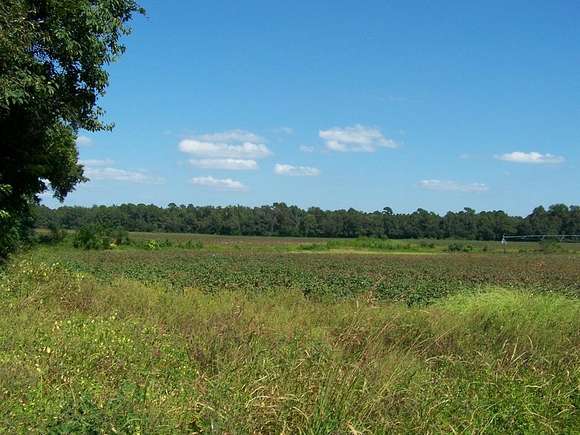 89.5 Acres of Agricultural Land for Sale in Santee, South Carolina