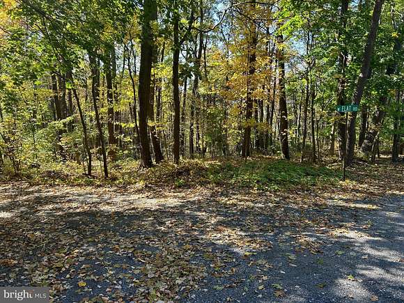 53 Acres of Recreational Land for Auction in Belleville, Pennsylvania