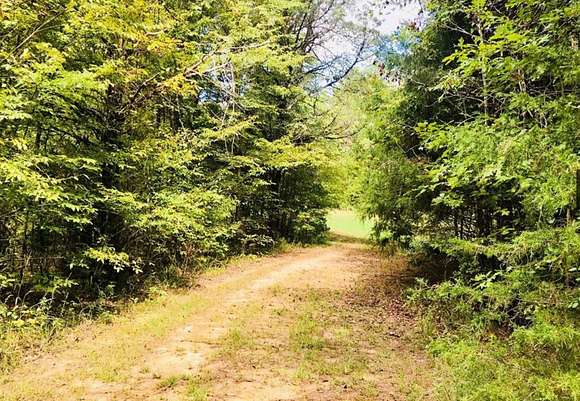 70 Acres of Recreational Land for Sale in Coffeeville, Mississippi