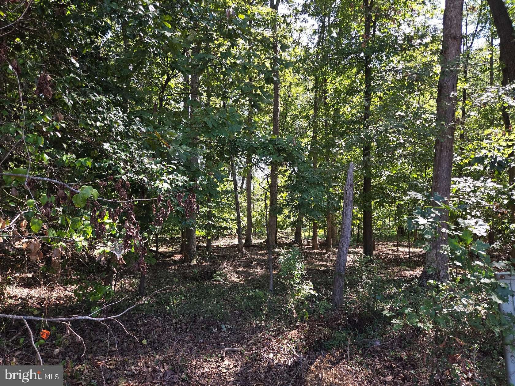 1.42 Acres of Residential Land for Sale in Fort Washington, Maryland