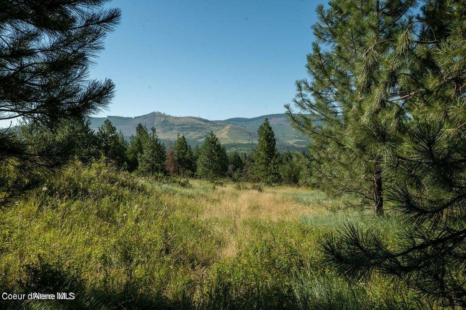 22.82 Acres of Recreational Land for Sale in St. Maries, Idaho