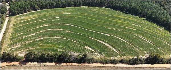 3.32 Acres of Residential Land for Sale in Dothan, Alabama