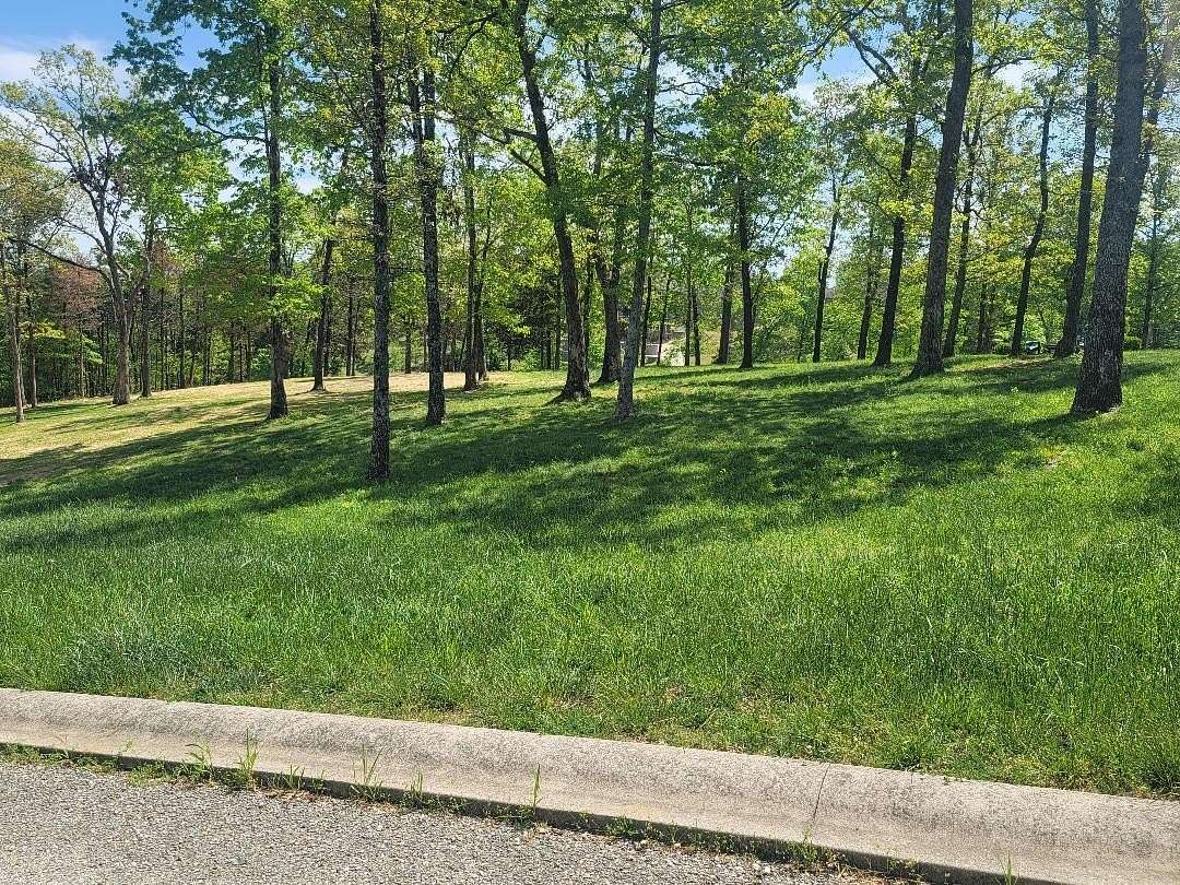 0.5 Acres of Residential Land for Sale in Branson, Missouri