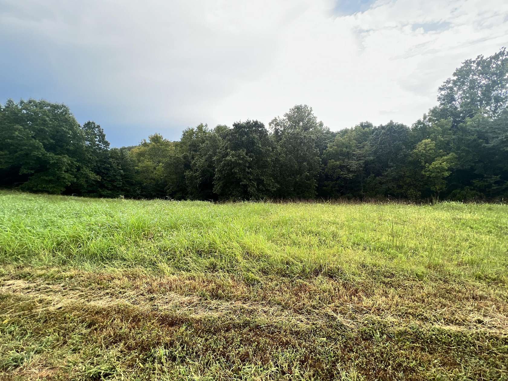 1.65 Acres of Residential Land for Sale in Cape Fair, Missouri