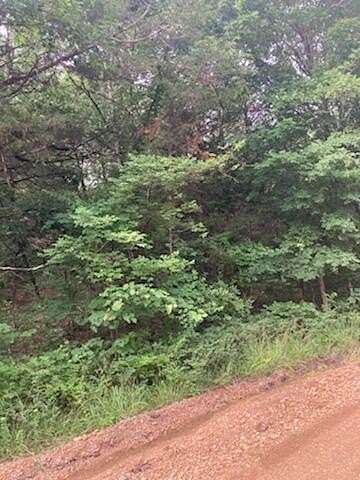 0.15 Acres of Residential Land for Sale in Diamond City, Arkansas