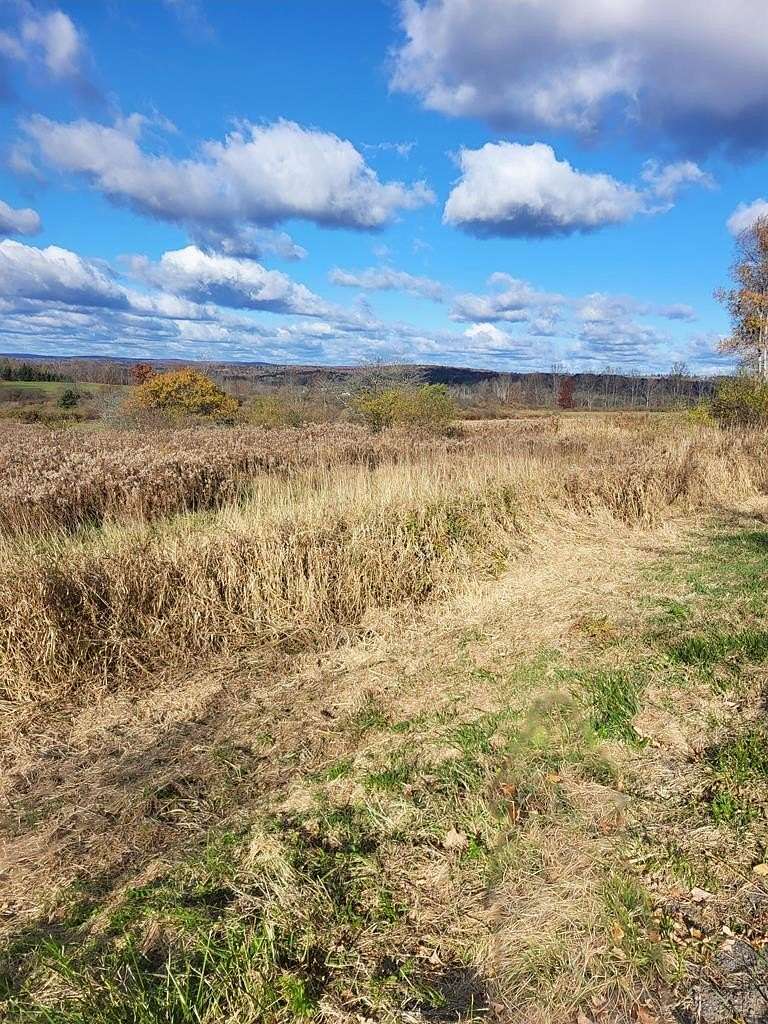 5.42 Acres of Land for Sale in Horseheads, New York