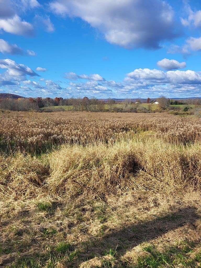 5.42 Acres of Land for Sale in Horseheads, New York