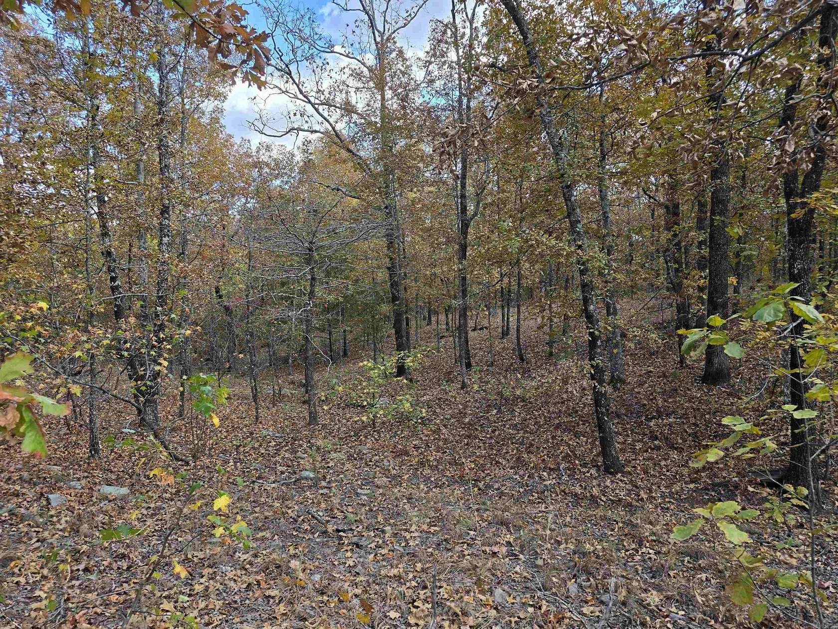 2.52 Acres of Residential Land for Sale in Conway, Arkansas