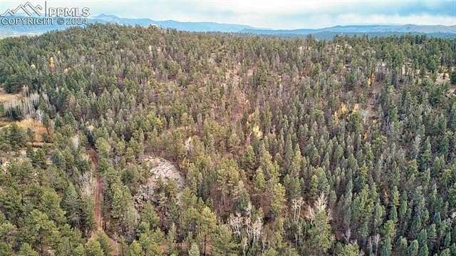 20 Acres of Recreational Land for Sale in Florissant, Colorado