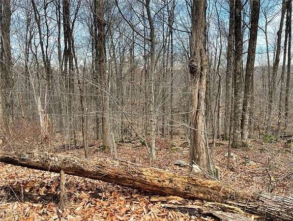 5.01 Acres of Residential Land for Sale in Monticello, New York