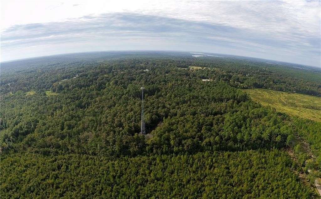 75 Acres of Recreational Land for Sale in Wilmer, Alabama