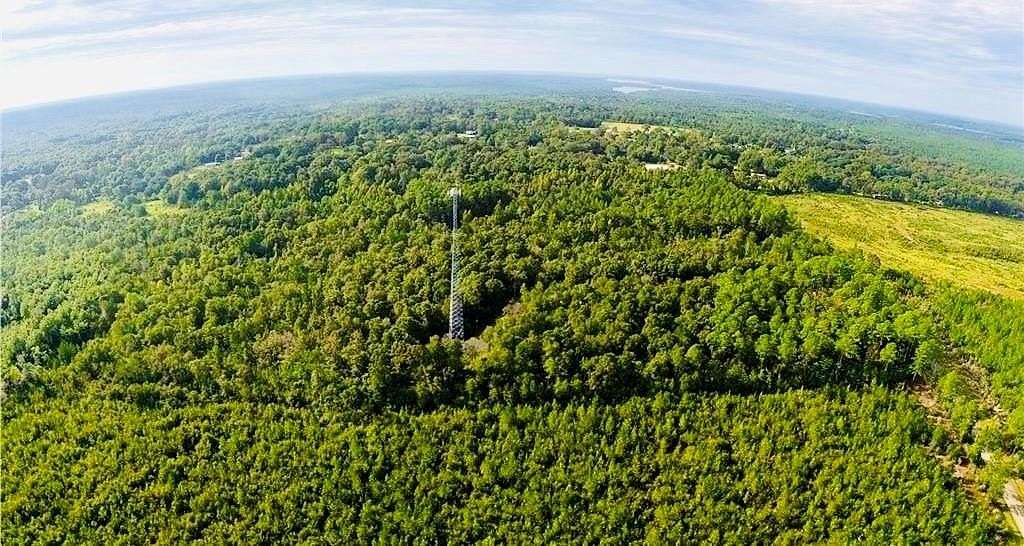 75 Acres of Recreational Land for Sale in Wilmer, Alabama