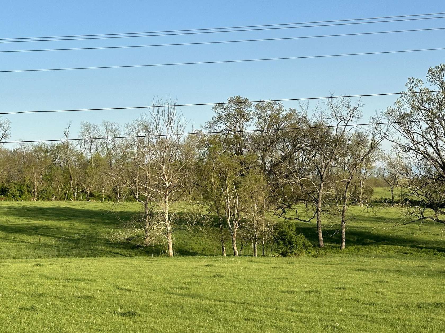 5.1 Acres of Residential Land for Sale in Georgetown, Kentucky