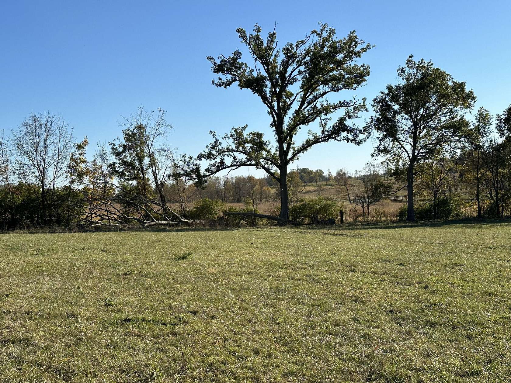 5.34 Acres of Land for Sale in Georgetown, Kentucky