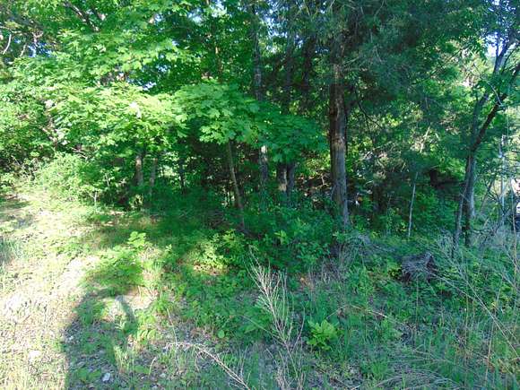 0.75 Acres of Residential Land for Sale in Branson, Missouri