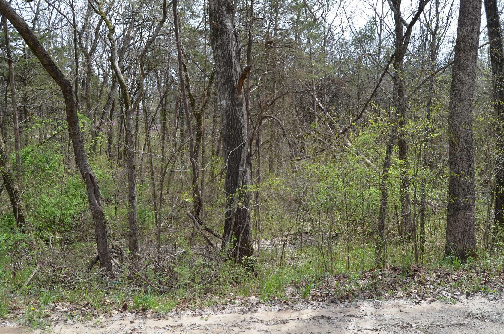 0.06 Acres of Residential Land for Sale in Merriam Woods, Missouri