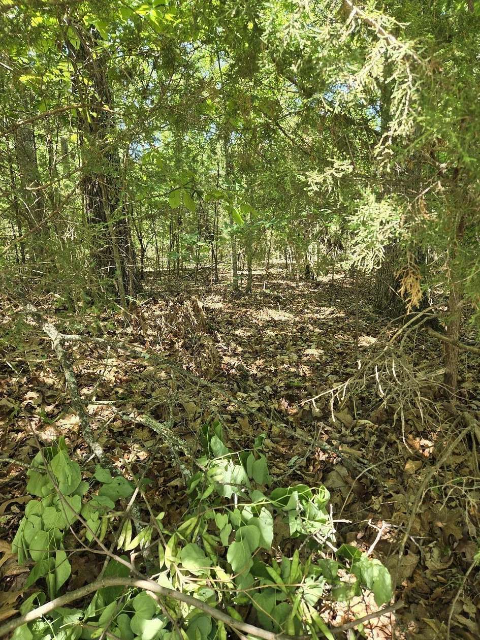 0.7 Acres of Residential Land for Sale in Branson West, Missouri