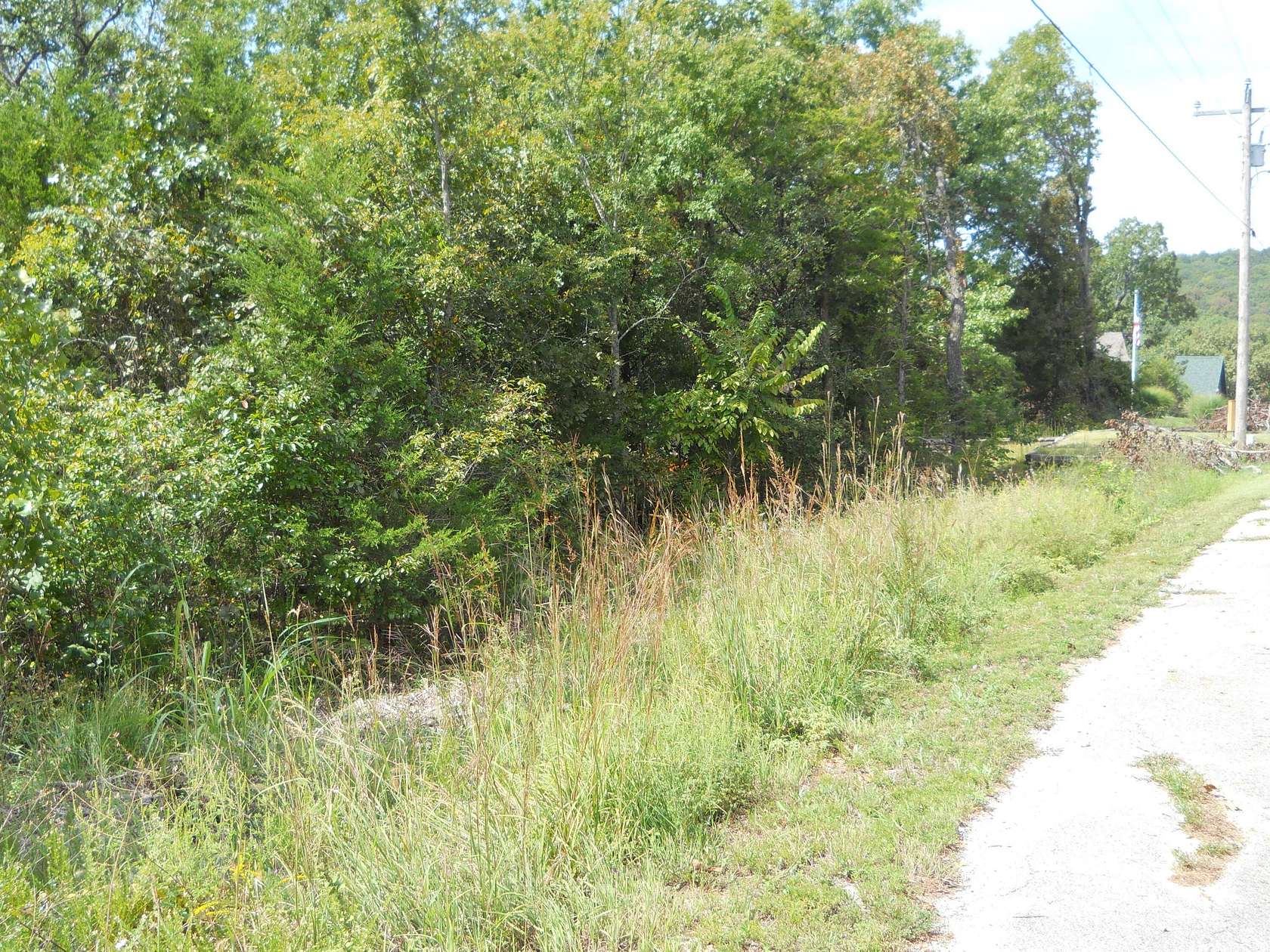 0.3 Acres of Residential Land for Sale in Lampe, Missouri