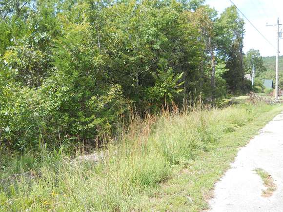 0.3 Acres of Residential Land for Sale in Lampe, Missouri