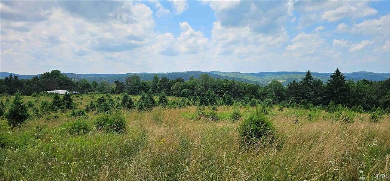 446 Acres of Land with Home for Sale in Maine, New York