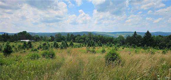 446 Acres of Land with Home for Sale in Maine, New York