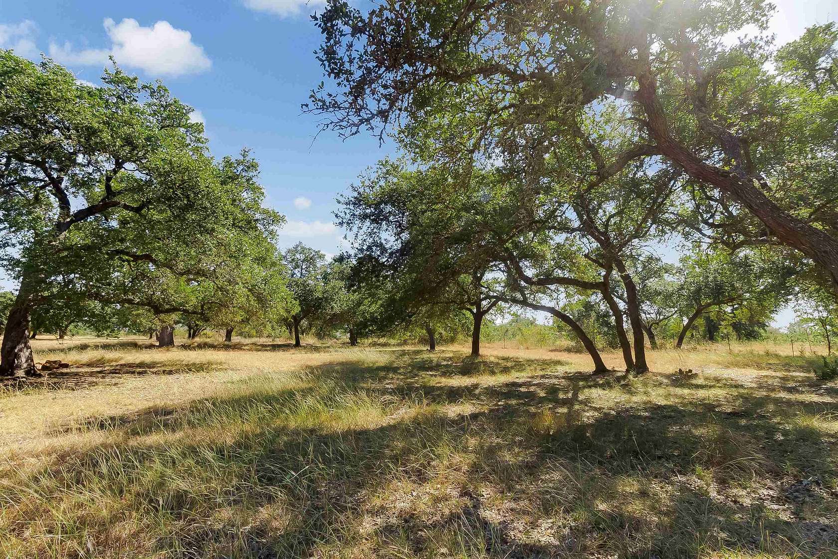 5 Acres of Residential Land for Sale in Bertram, Texas