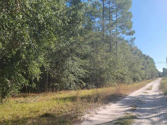 4.29 Acres of Residential Land for Sale in Newberry, Florida