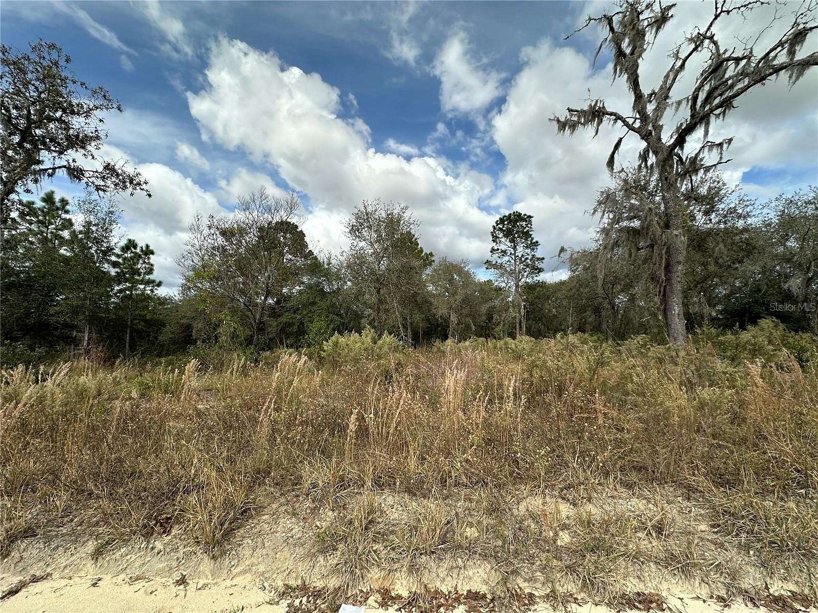 1 Acre of Land for Sale in Williston, Florida