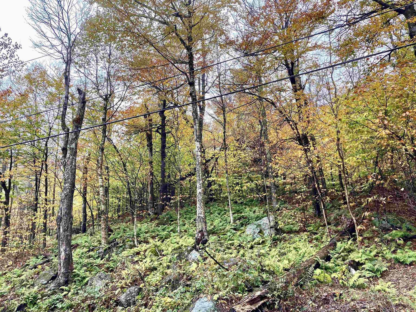 1.93 Acres of Residential Land for Sale in Wilmington, Vermont