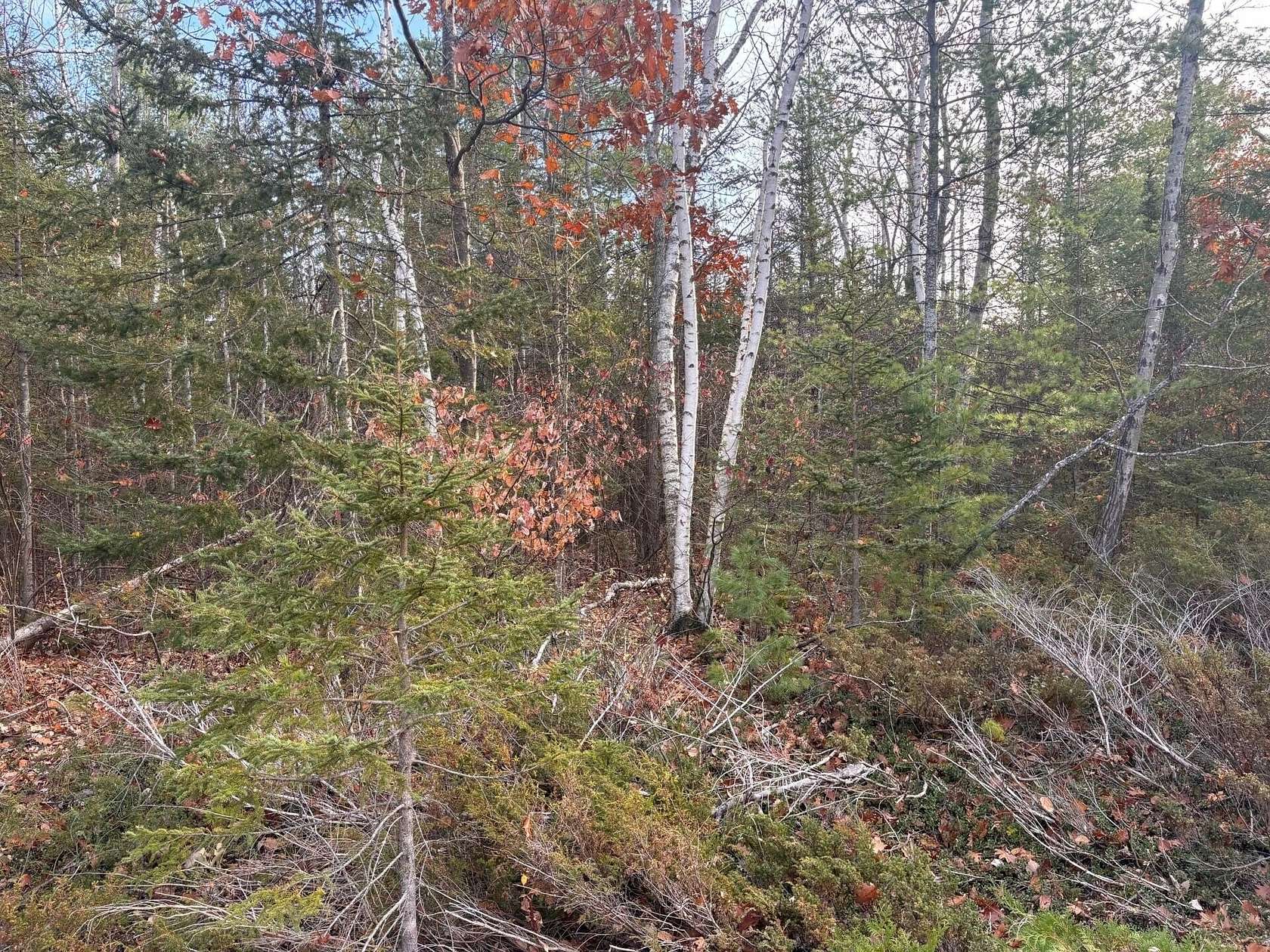 Residential Land for Sale in Presque Isle, Michigan