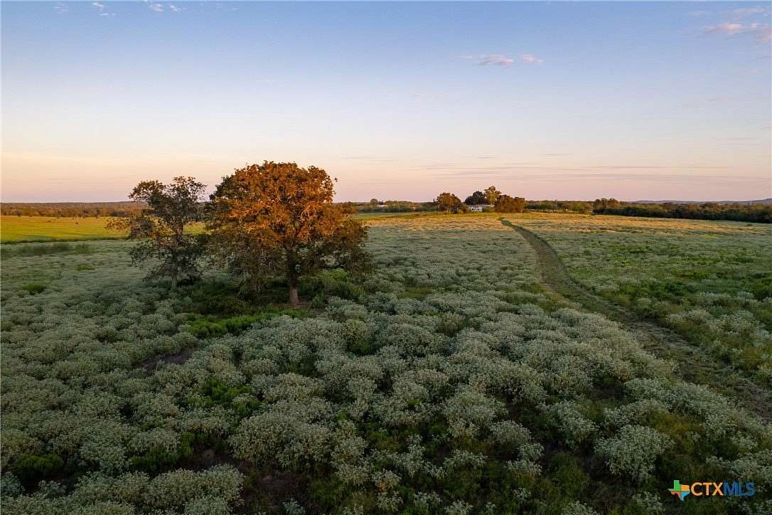 228.515 Acres of Recreational Land & Farm for Sale in Seguin, Texas