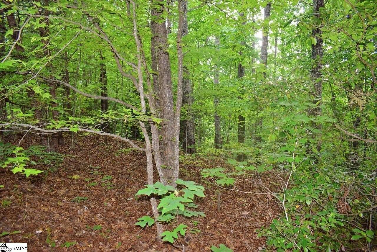 1 Acre of Residential Land for Sale in Travelers Rest, South Carolina