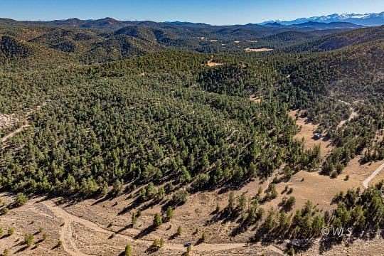 22.19 Acres of Recreational Land for Sale in Cotopaxi, Colorado