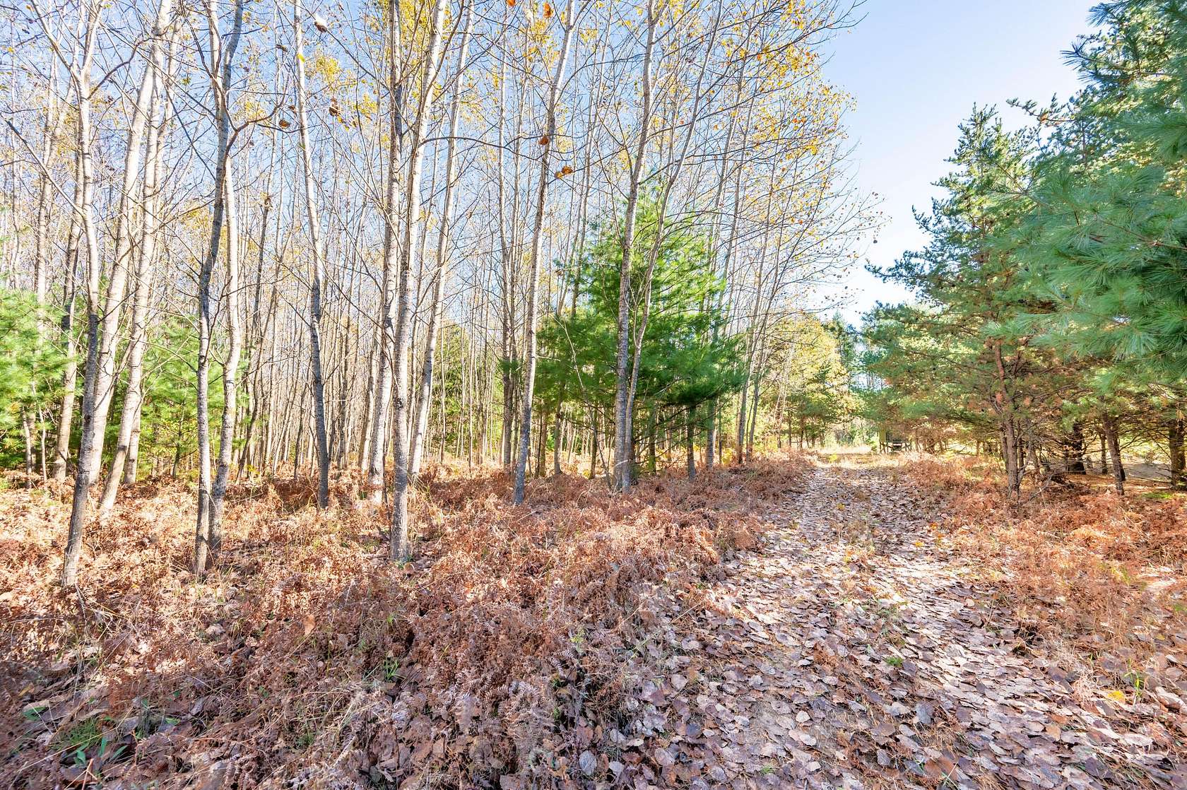 15 Acres of Recreational Land for Sale in Cadillac, Michigan
