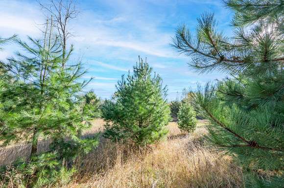 15 Acres of Recreational Land for Sale in Cadillac, Michigan