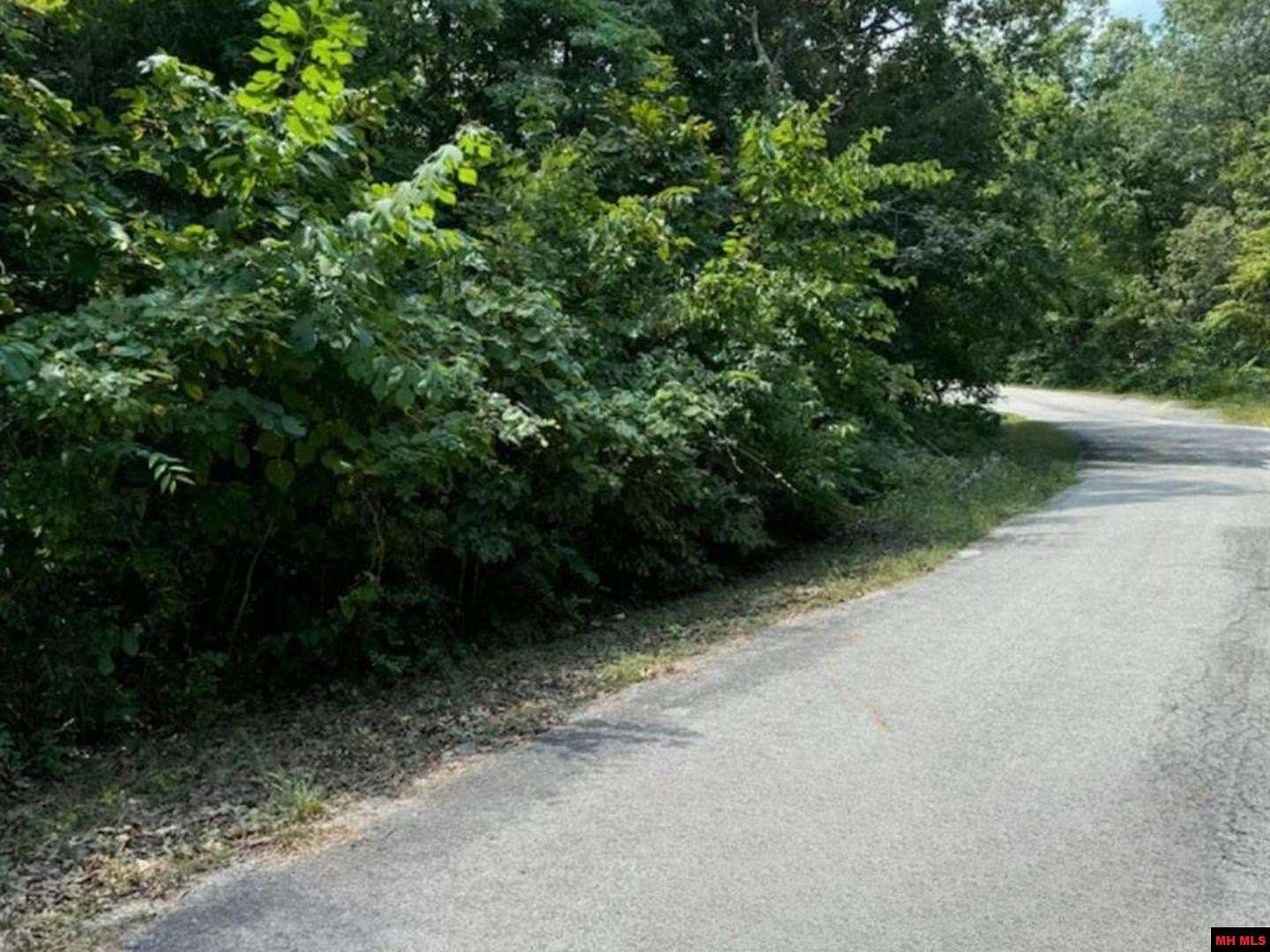 0.23 Acres of Residential Land for Sale in Cherokee Village, Arkansas