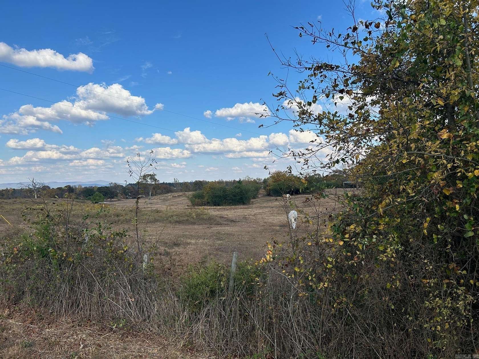 10 Acres of Land for Sale in Mena, Arkansas