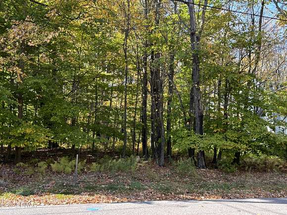 0.46 Acres of Residential Land for Sale in Lake Ariel, Pennsylvania