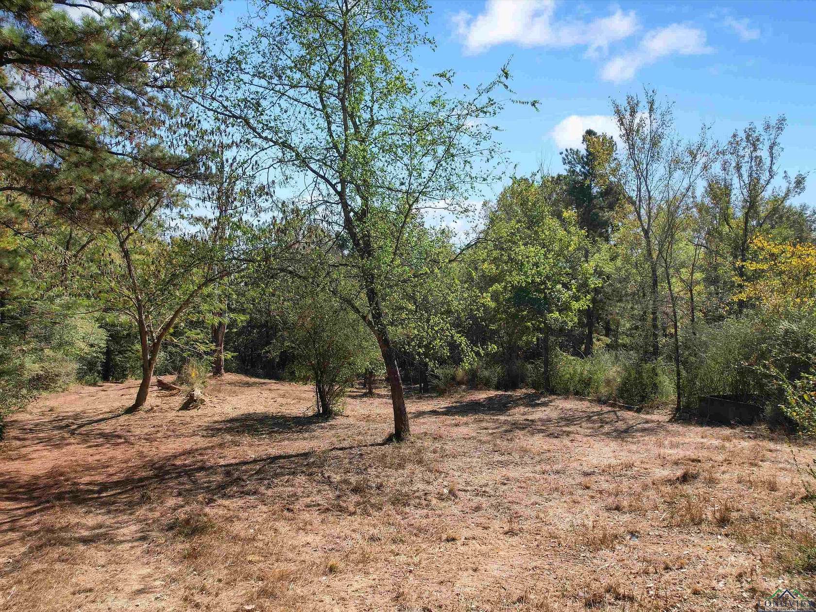 12.8 Acres of Land for Sale in Gladewater, Texas