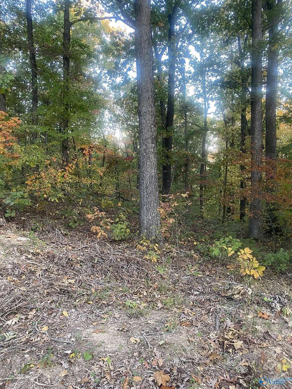 6.7 Acres of Agricultural Land for Sale in Laceys Spring, Alabama