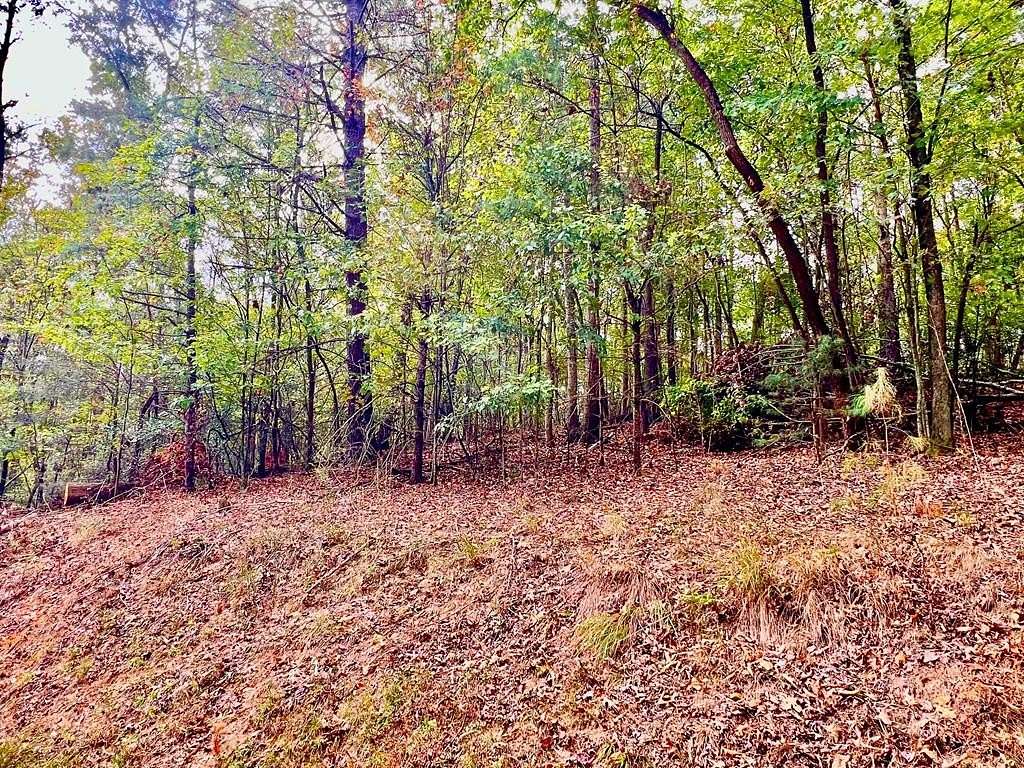 0.69 Acres of Land for Sale in Ellijay, Georgia