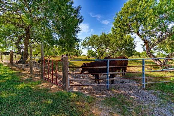 20.15 Acres of Agricultural Land with Home for Sale in Riviera, Texas