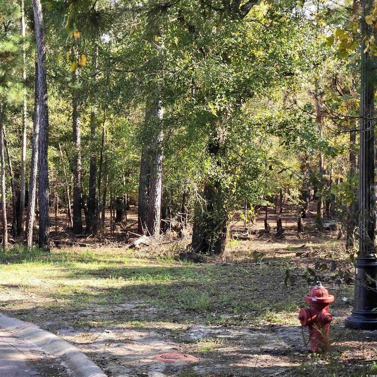 1.09 Acres of Land for Sale in Conway, South Carolina