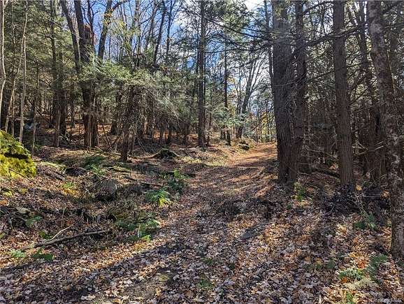 6 Acres of Residential Land for Sale in Arkville, New York