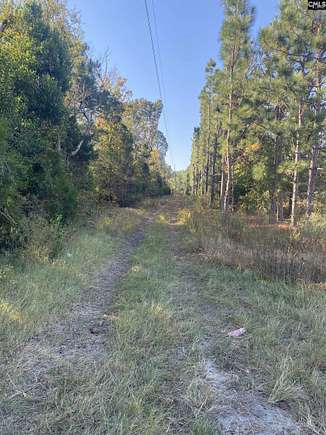 1.2 Acres of Commercial Land for Sale in Gilbert, South Carolina