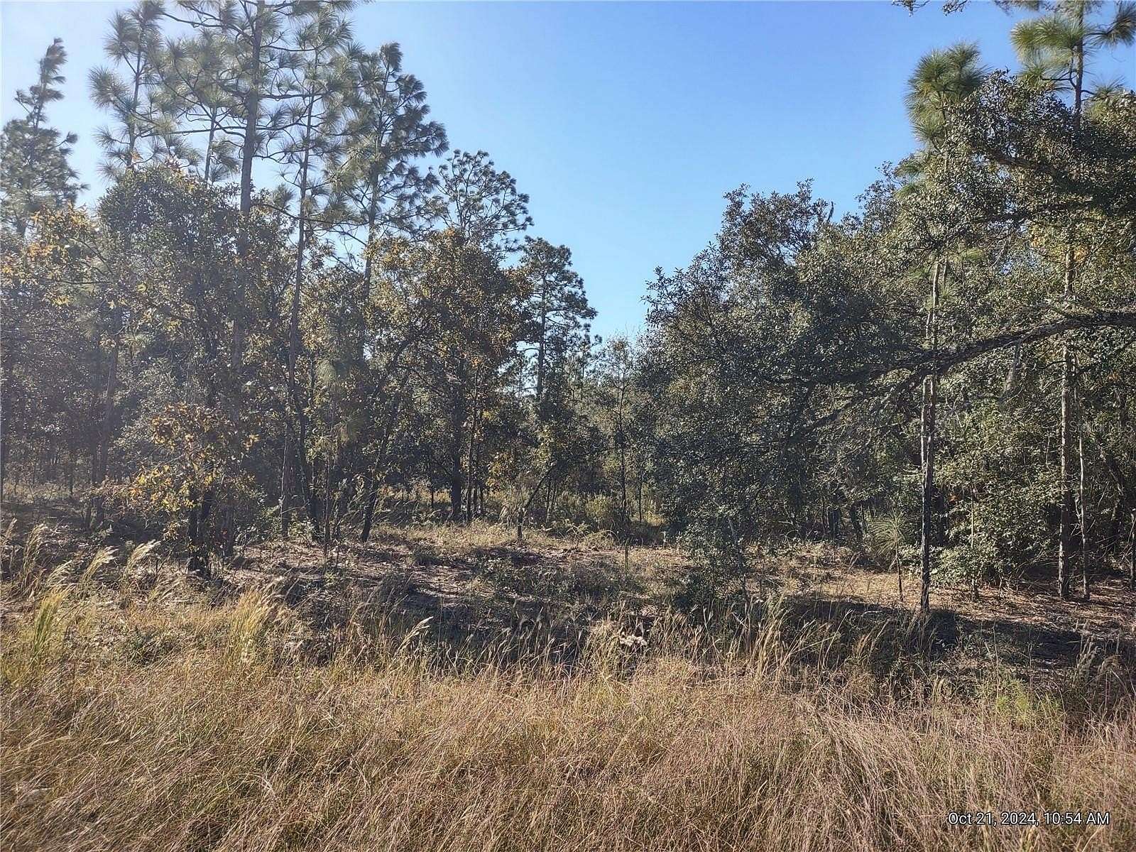 1 Acre of Land for Sale in Williston, Florida