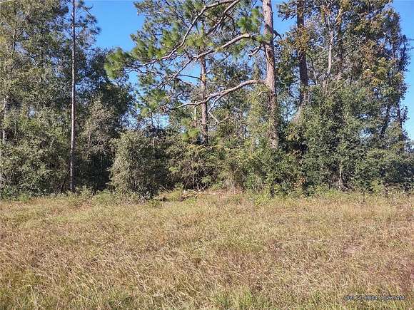 1 Acre of Land for Sale in Williston, Florida