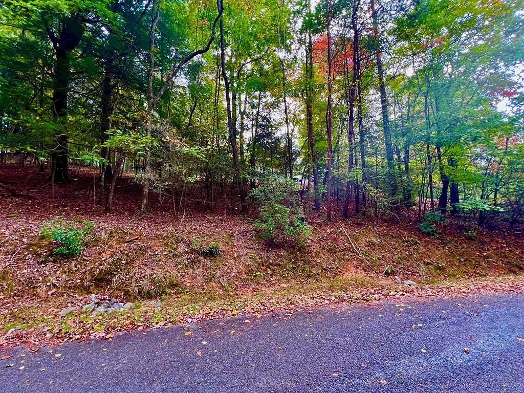 0.73 Acres of Land for Sale in Ellijay, Georgia