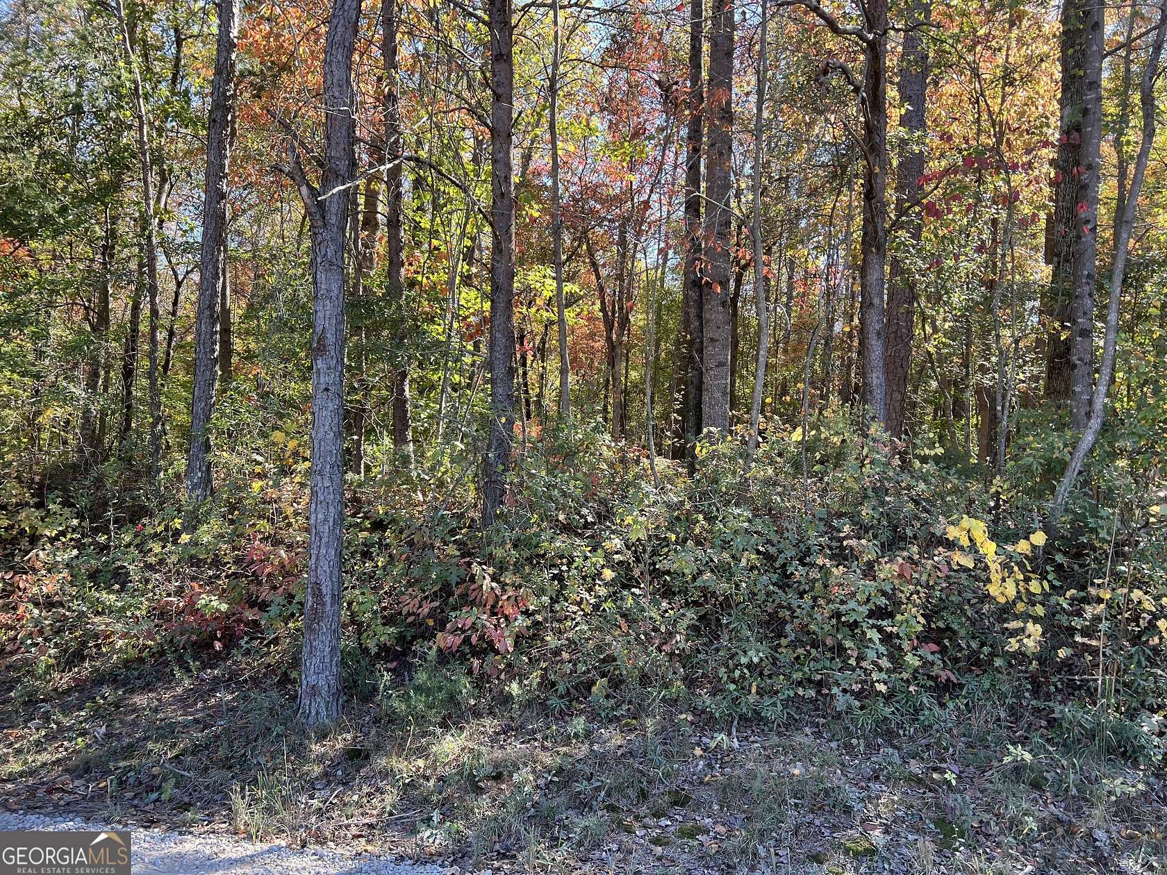 3.02 Acres of Residential Land for Sale in Maysville, Georgia